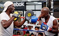 Лапы Everlast Leather Evergel  Mantis по акции