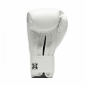 Боксерские перчатки Leone 1947 The Greatest GN111 White