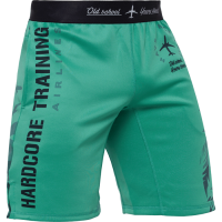 ТРЕНИРОВОЧНЫЕ ШОРТЫ HARDCORE TRAINING VOYAGE MINT