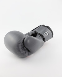 Боксерские перчатки Twins Special BGVL-3 Grey