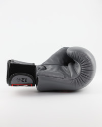 Боксерские перчатки Twins Special BGVL-3 Grey