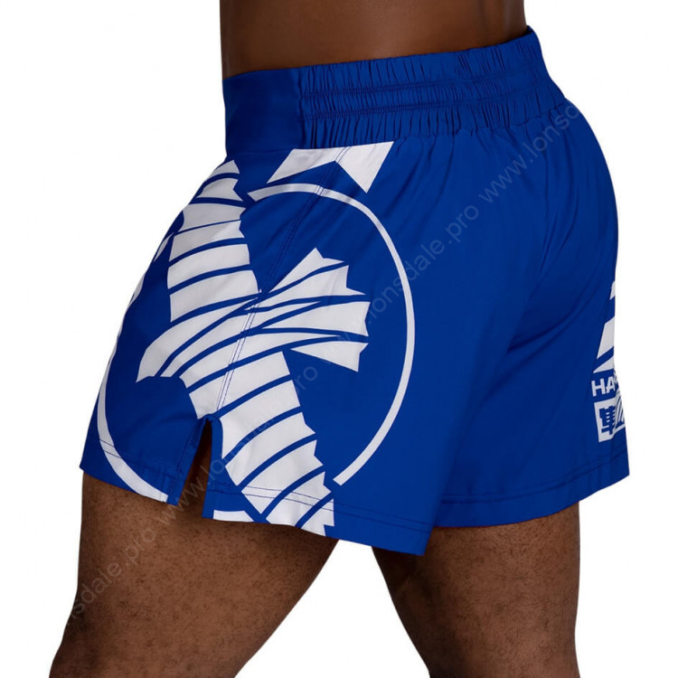 Шорты Hayabusa Icon Kickboxing Shorts - Blue / White
