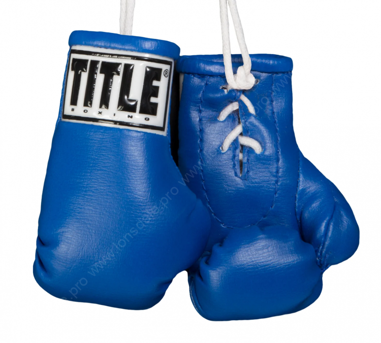 Брелок TITLE Boxing Mini Boxing Gloves  Blue