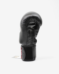 Боксерские перчатки Twins Special BGVL-3 Black