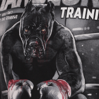БЕЗРУКАВКА HARDCORE TRAINING THE MOMENT OF TRUTH