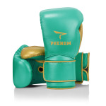 Боксерские перчатки Phenom Boxing SG-202S Sparring Gloves Green/Gold